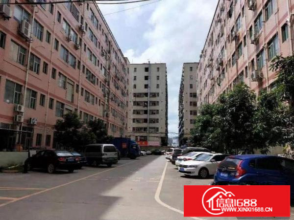 龙岗宝龙原房东红本厂房600平楼上出租