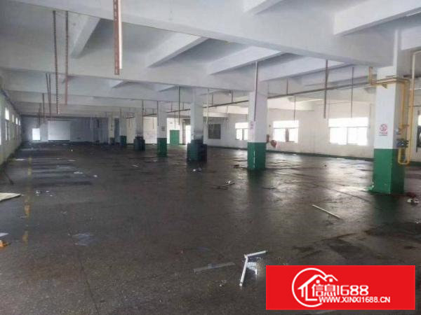 凤岗金凤凰独院一楼1800平方免费空地1100平方