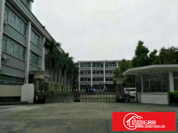 高埗新出一楼厂房1500平方米,水电齐全,带装修