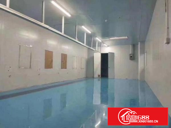 谢岗2楼带装修厂房，价格优惠