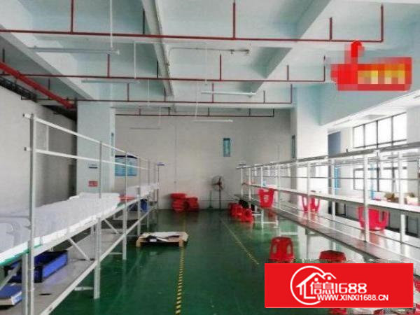 石岩石新出租2楼厂房520平方，流水线车间！