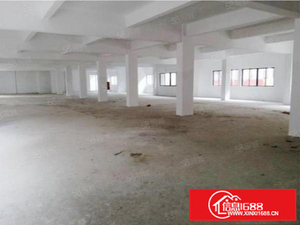 东莞万江厂房|1452平业主直租|采光好|近高速|周边环境好