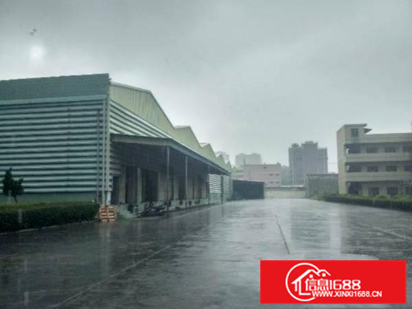 大岭山镇新出单一层独院总面积25000平方滴水10米