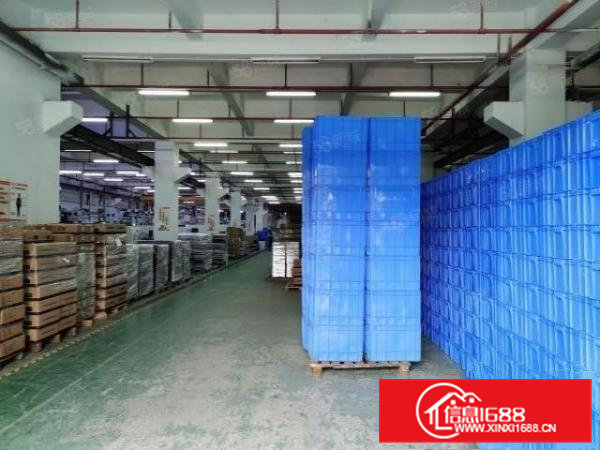 年底清盘东坑新出15000平红本厂房精装办公室消防喷淋