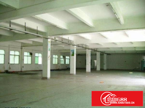 常平镇塘角空出独门独院总面积4600平方出租