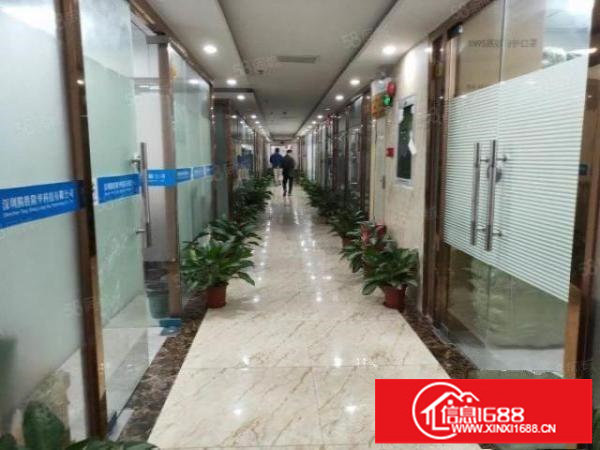 深圳坪山中心位置带精装适合办公350电商厂房出租