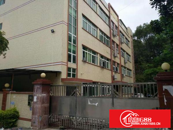 凤岗镇碧湖大道边标准独院厂房6000平方米出租