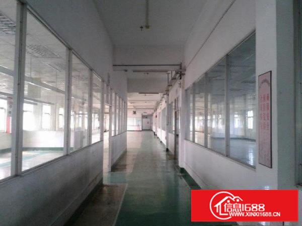 龙岗新出独院带装修5800平厂房出租可大小分租