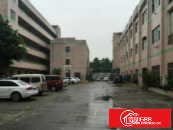 万江新出标准厂房1000平方带办公室装修高速路口附近，适合行