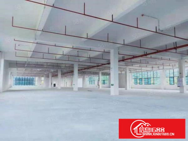 大岭山政府工业园厂房招商，带政府项目补贴