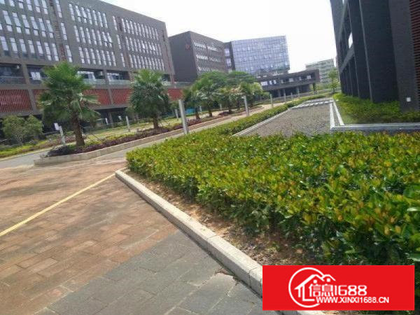 坪山海科星产业园楼上整层2000平送精装厂房出租