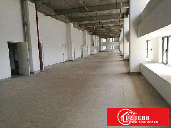 出租布吉丽湖300平高6.7米厂房