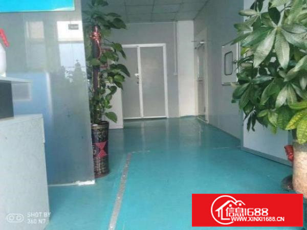 福永塘尾楼上350平精装无尘车间厂房出租