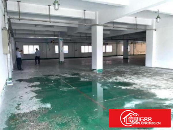 清溪大利新出独院标准厂房二楼带装修1500平米招租，水电齐全