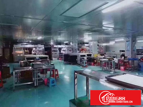 凤岗新出楼上1300平方无尘车间无需任何转让费