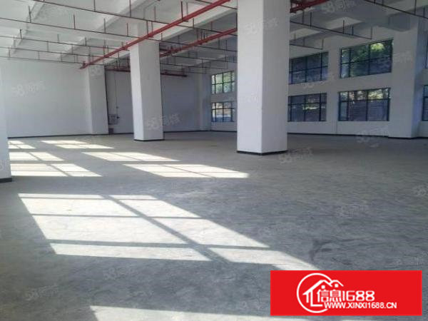 大朗临松山湖松源8000全新花园厂房可分租工业用地国标消防.