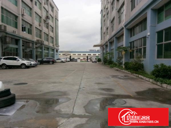 常平金美楼上900平米厂房出租（带装修）