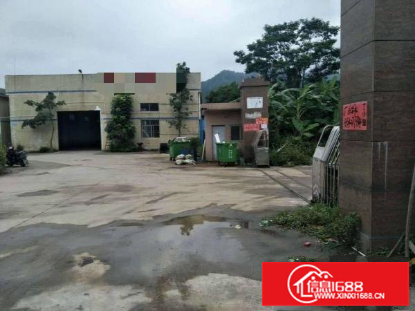 惠阳新圩一手房东独栋靠山钢构厂房1200平方，可做小污染