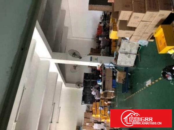 出租宝安区石岩外贸工业区鸿发5层