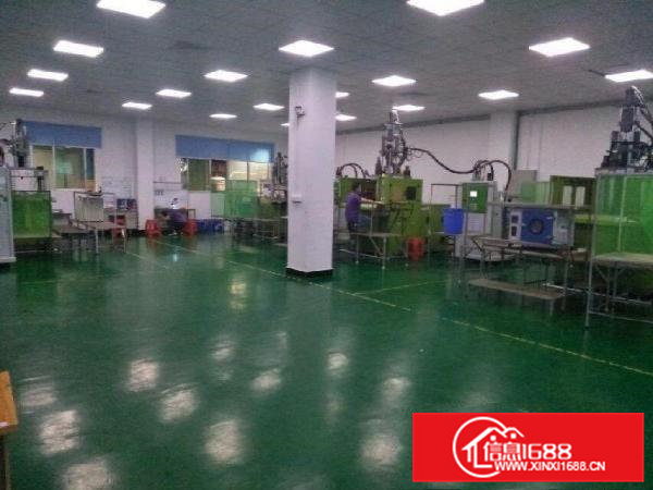 横沥镇隔坑附近标准一楼1000平方