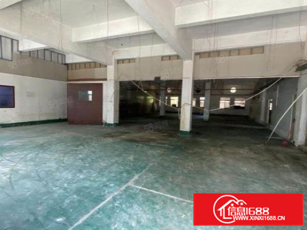 石碣四甲原房东招租标准独院厂房一楼500平方，无公摊