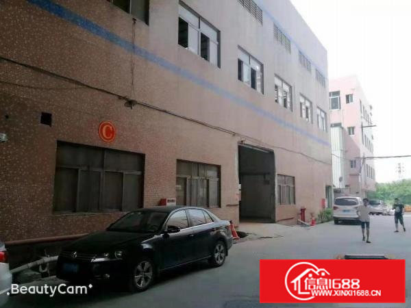 大岭山新出标准厂房出租