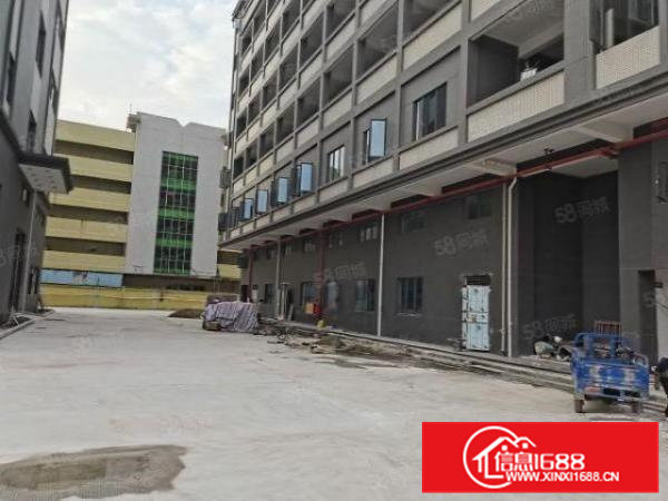 寮步大进工业园原房东新建全玻璃幕墙高大上标准可办环评独院