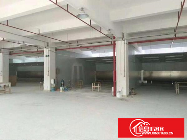 新墟5600平独院，可做喷油，证件齐全