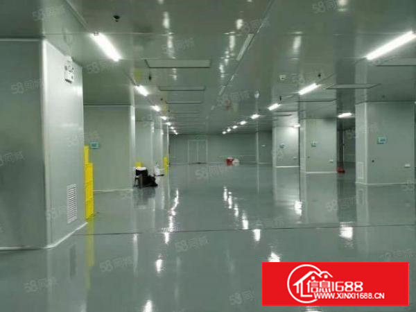 无尘车间无转让费！塘厦科苑城新出原房东3000平厂房仓库出租