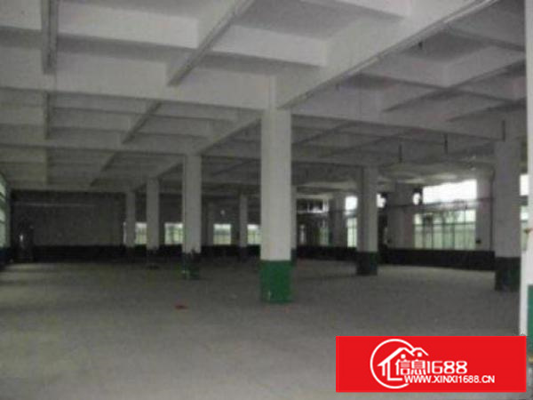 万江周边1出租400、800平方出租消防水电齐全，交