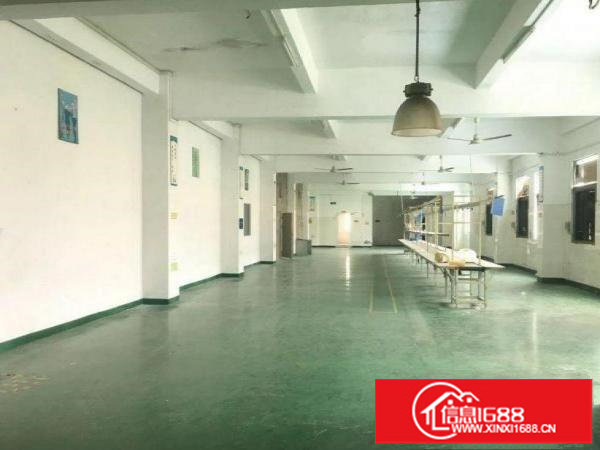 坂田梅观高速3楼厂房900平，可分租，原房东出租