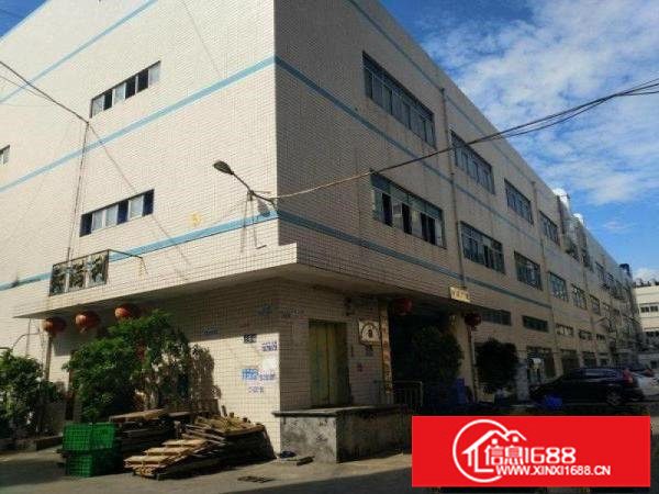 碧岭新出送精装修二楼1560平厂房出租（可分租）