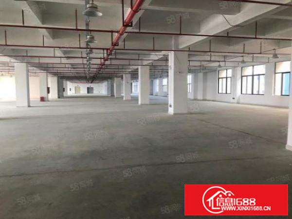 常平全新原房东10000平独栋厂房仓库出租，形象好大小可分租