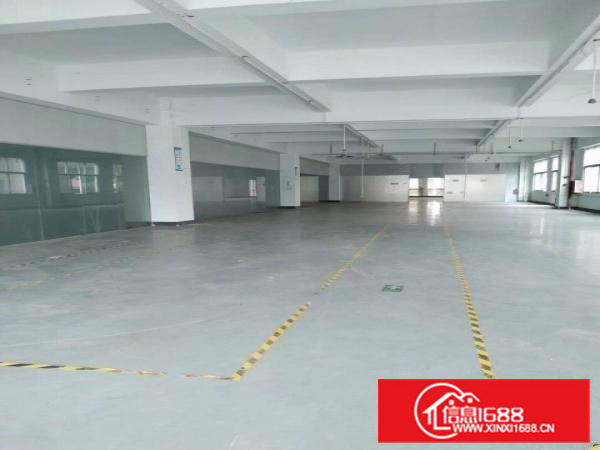 长安镇沙头原房东独院1至3楼5800平方超低价出租，无公摊