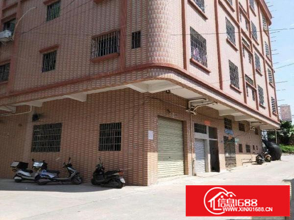 平价厂房水电齐全即租即用