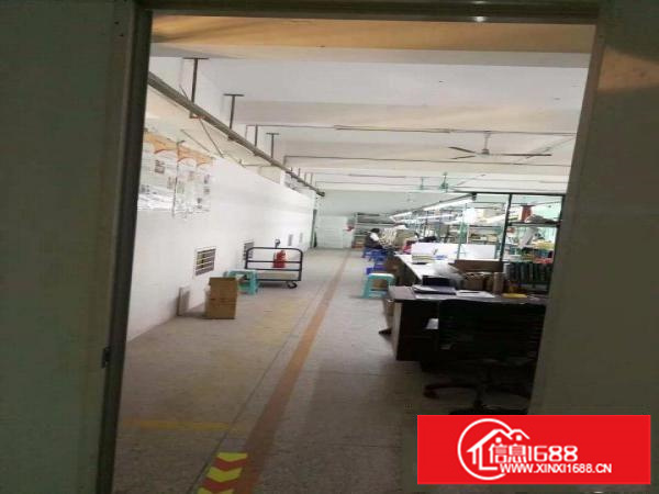 出租龙岗区平湖山厦杉坑内环路4号4栋5楼