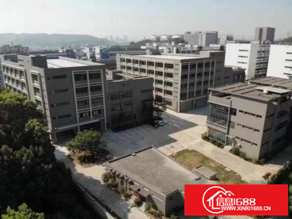 东坑镇新出楼上带喷漆环评证厂房800平方