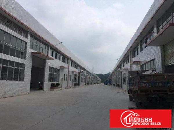 陈江80000平方工业区全新钢架厂房出租可分租