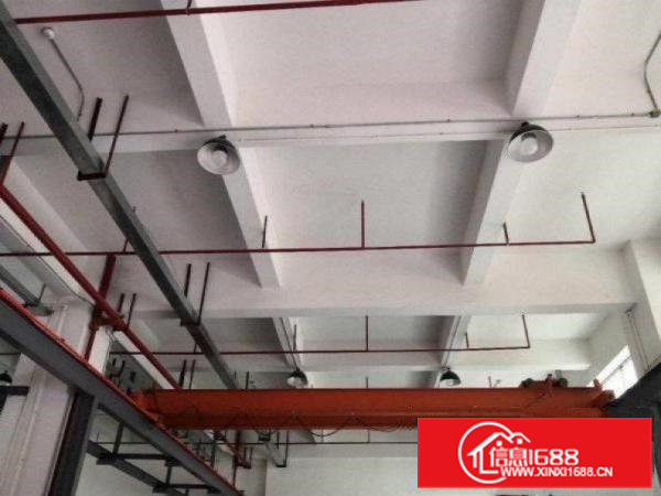 塘沥新出1楼500平带办公室，车间水电厂房出租