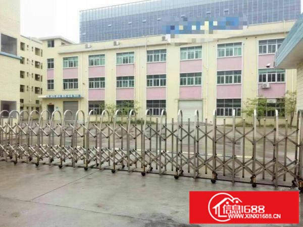 观澜观光路边上新出独门独户6600平方厂房招租