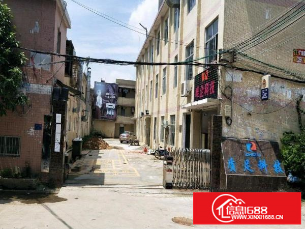 (一楼)龙岗龙西525平方厂房出租！！！可分租