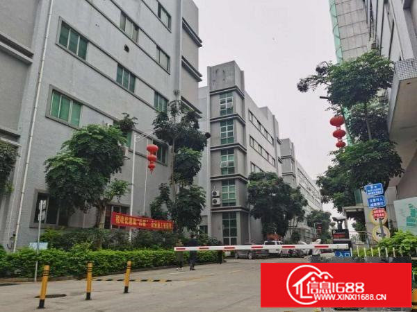 坂田南坑工业区厂房出租2万平方100平方起租仓库招租合租