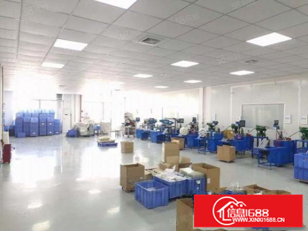 厂房招租东莞长安乌沙新出楼三楼990平方,水电齐全,精装修