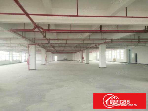 寮步石龙坑新出1000平工业用地厂房滴水8米拎包即可生产