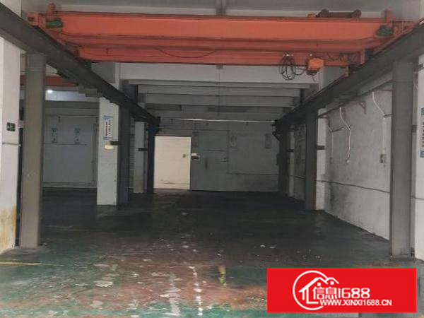 上沙新出一楼带行车1000平方米厂房出租