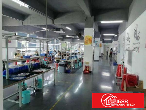 ！带流水线台带装修厂房出租楼上1000平米靠近龙岗