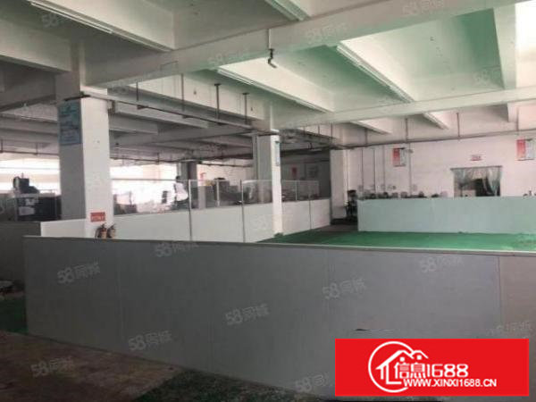 石井新空出一楼700平方高度5.5米。带装修好办公室