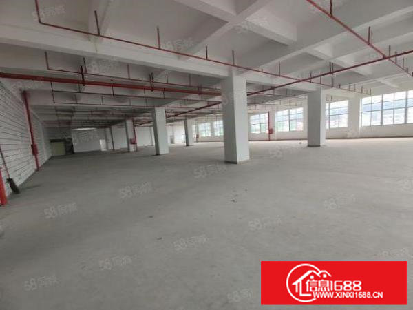 100平起分凤岗金凤凰工业园区全新独院厂房7000平空地超大