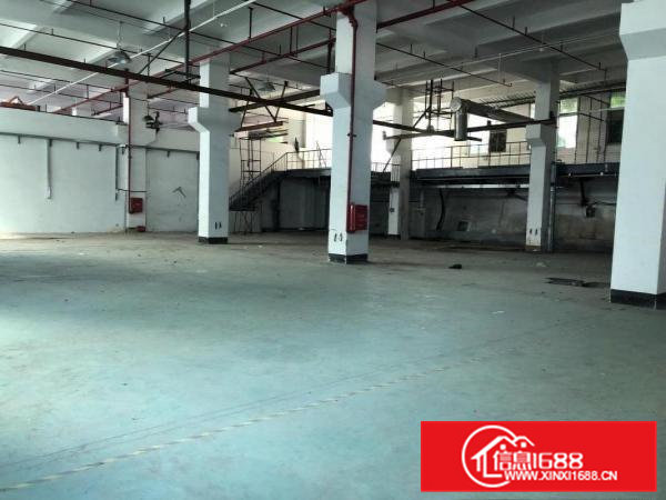 五联近平湖1公里新出一楼精装修800平方厂房，带独立办公室