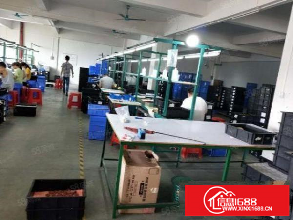 虎门镇原房东精典独院厂房一二楼500平起分带装修好过环评